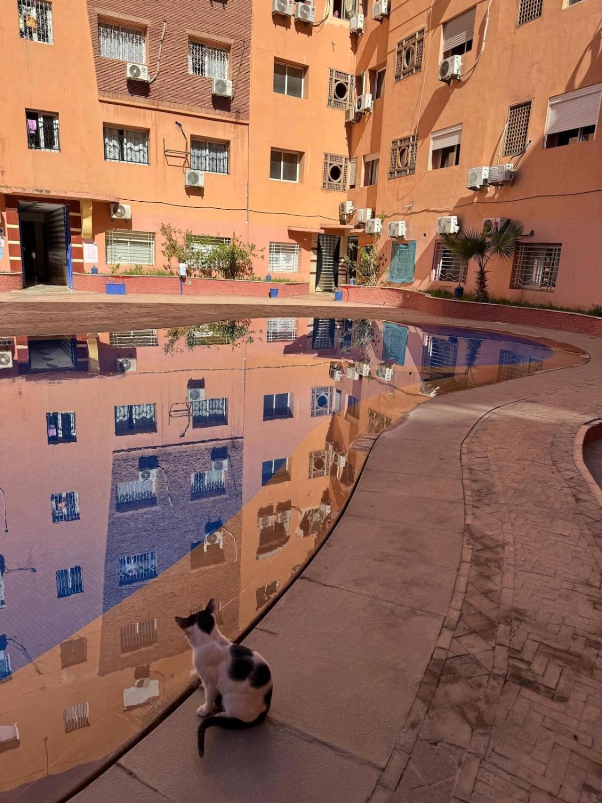 Authentic Style In Gueliz For Family * Marrakesch